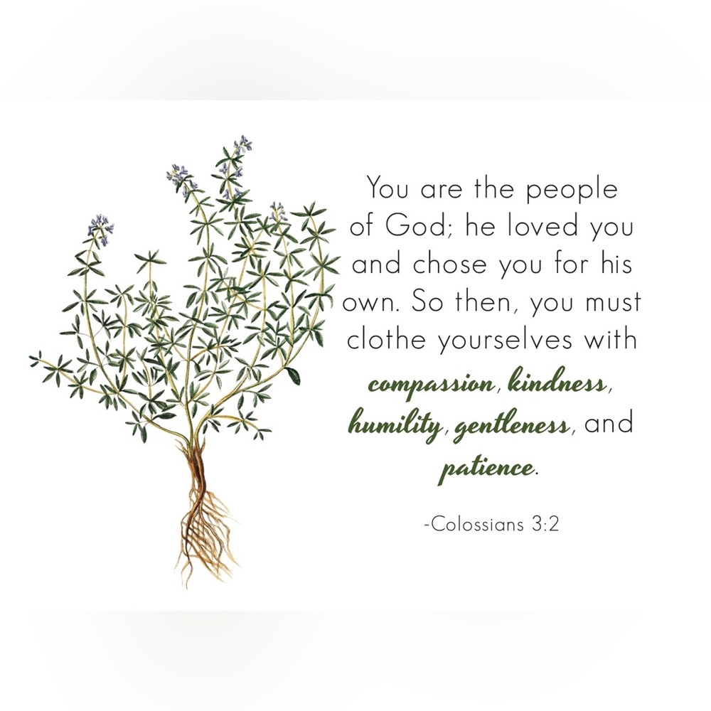 gift set body care: mint bath salts, sugar scrub, room spray, face care, etc